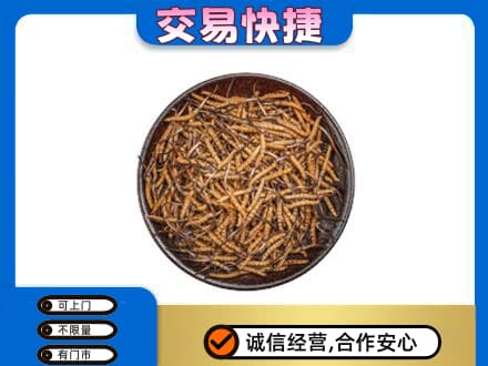 兴安盟回收散虫草